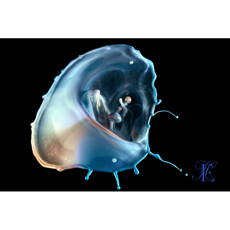 Ref SP : 1713124467.jpeg