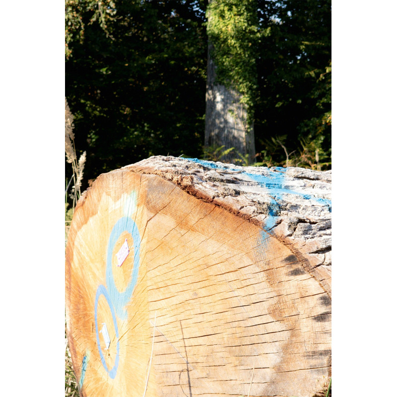 Ref SP : 1724695785.tif