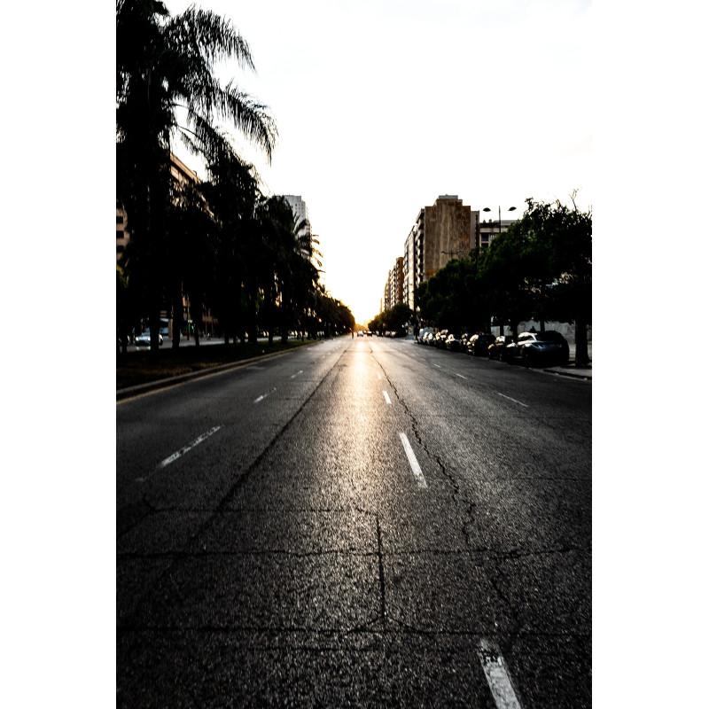 Ref SP : 1724696009.tif