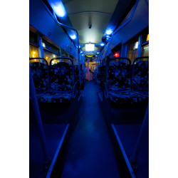 Ref SP : 1740908085.tif