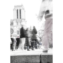 Ref SP : 1740908163.tif