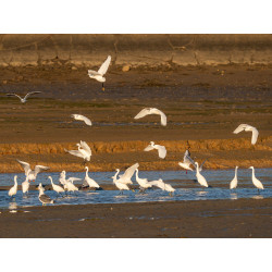 Ref SP : 1760806229.jpg