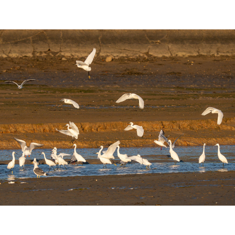 Ref SP : 1760806229.jpg